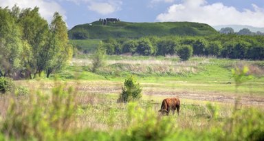 swlingewaard vacature fort pannerden gids 1